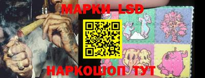 дмт Краснодар
