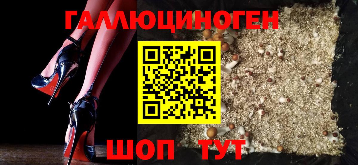 Галлюциногенные грибы GOLDEN TEACHER  Псилоцибиновые грибы ЛСД  Вход с VPN  Ишим 